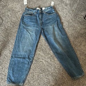 Denim Forum Aritzia The Gia Jeans